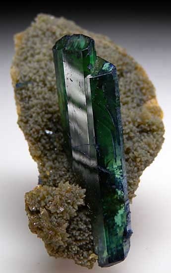 Vivianite from Huanuni Mine, Dalence Prov., Oruru Department, Bolivia [db_pics/pics/sa595b.jpg]