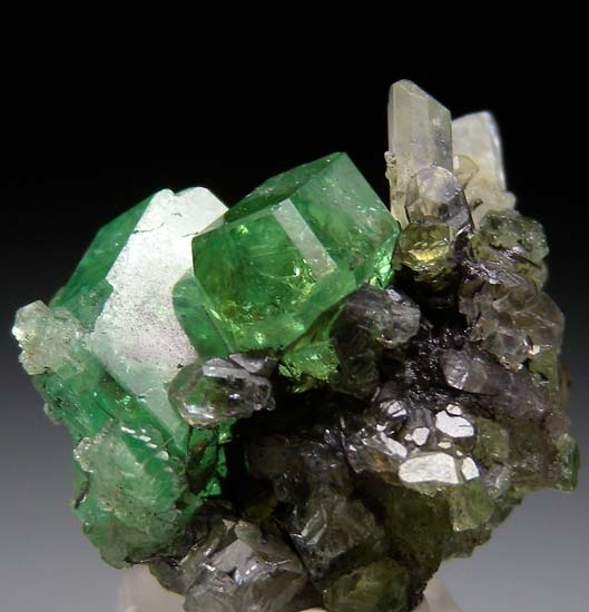 Tsavorite with Diopside on Graphite from Merelani Hills, Arusha, Tanzania [db_pics/pics/t620d.jpg]