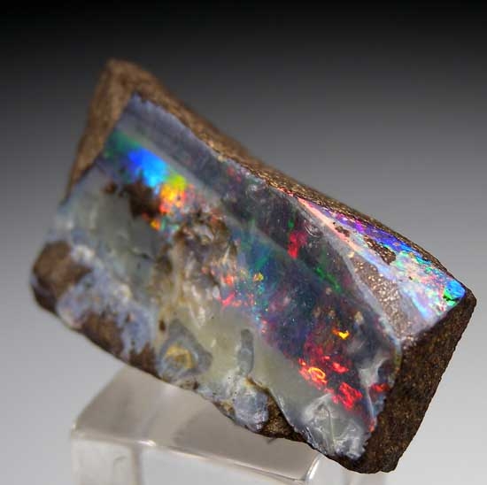 Boulder Opal from Queensland, Australia [db_pics/pics/t783b.jpg]