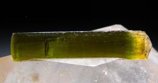 Tourmaline on Quartz from Stak Nala, Skardu, Pakistan [db_pics/pics/t861c.jpg]