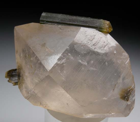 Tourmaline on Quartz from Stak Nala, Skardu, Pakistan [db_pics/pics/t861f.jpg]