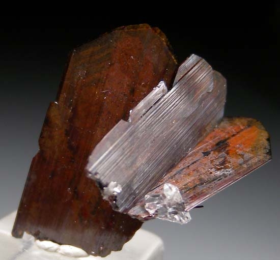 Brookite from Balochistan, Pakistan [db_pics/pics/t880a.jpg]