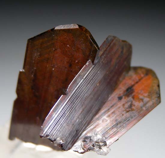Brookite from Balochistan, Pakistan [db_pics/pics/t880c.jpg]