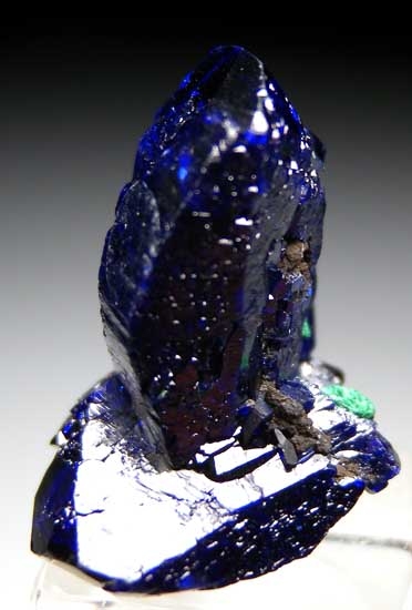 Azurite from Milpillas Mine, Cuitaca, Sonora, Mexico [db_pics/pics/tu197b.jpg]