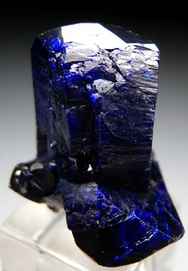 Azurite from Milpillas Mine, Cuitaca, Sonora, Mexico [db_pics/pics/tu197c.jpg]