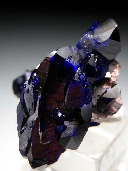 Azurite from Milpillas Mine, Cuitaca, Sonora, Mexico [db_pics/pics/tu198c.jpg]