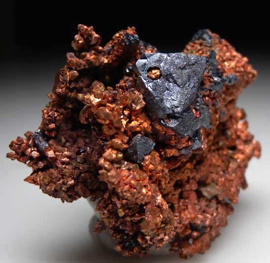 Cuprite on Copper from Poteryaevskoe Mine, Rubtsovskoe Deposit, Western Siberia, Russia [db_pics/pics/tu71b.jpg]