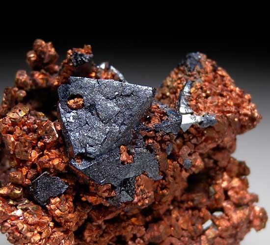 Cuprite on Copper from Poteryaevskoe Mine, Rubtsovskoe Deposit, Western Siberia, Russia [db_pics/pics/tu71c.jpg]