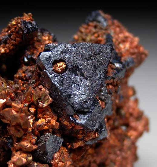 Cuprite on Copper from Poteryaevskoe Mine, Rubtsovskoe Deposit, Western Siberia, Russia [db_pics/pics/tu71d.jpg]