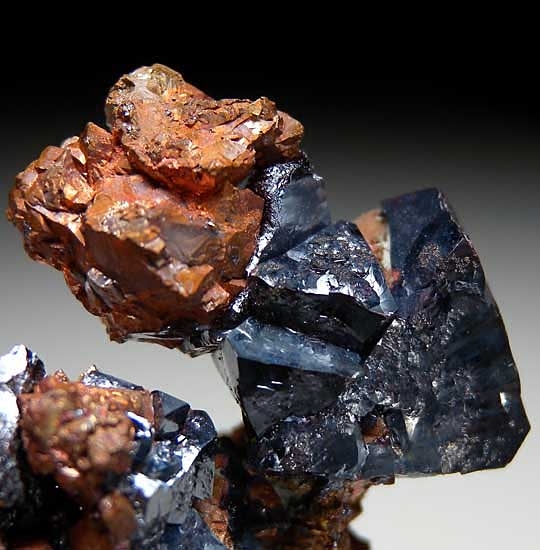 Cuprite on Copper from Poteryaevskoe Mine, Rubtsovskoe Deposit, Western Siberia, Russia [db_pics/pics/tu75c.jpg]