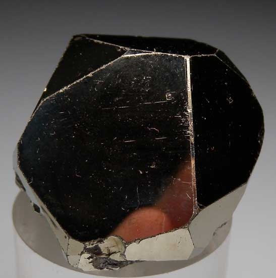 Pyrite from Merelani Hills, Arusha, Tanzania [db_pics/pics/tz306a.jpg]