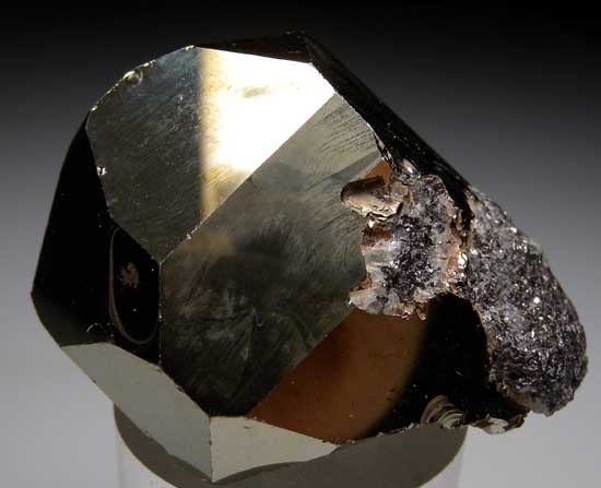 Pyrite with Graphite from Merelani Hills, Arusha, Tanzania [db_pics/pics/tz307a.jpg]