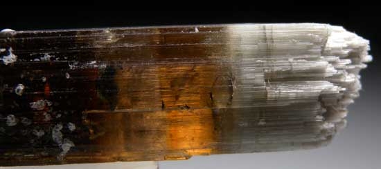 Dravite from Mwajanga, near Komolo, Tanzania [db_pics/pics/tz402c.jpg]