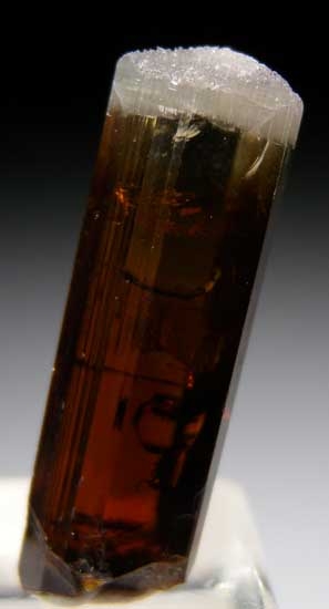 Dravite from Mwajanga, near Komolo, Tanzania [db_pics/pics/tz405a.jpg]