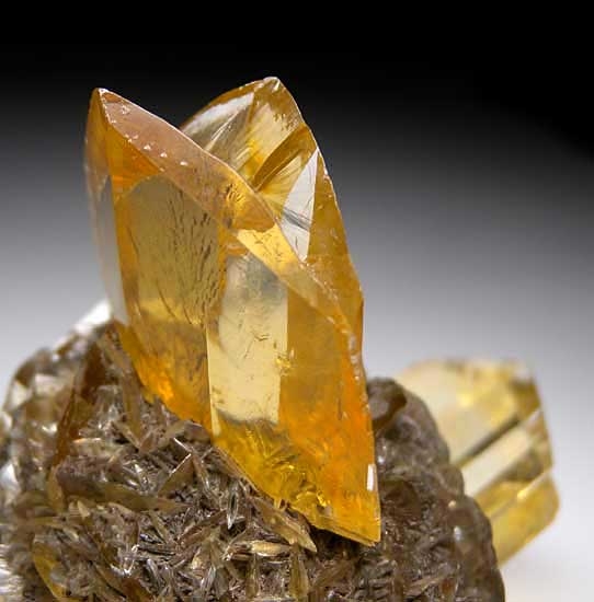 Selenite from Red River Floodway, Winnipeg, Manitoba, Canada [db_pics/pics/us141b.jpg]